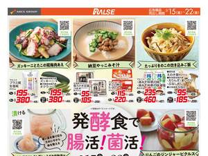 0515-0522 Web健康のチラシ画像