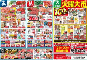 0117号冬の大寒謝祭のチラシ画像