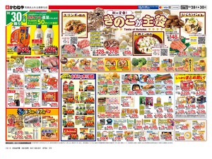 9月28日裏のチラシ画像