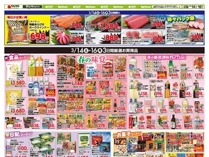お買い得チラシ3月14日~3月16日のチラシ画像
