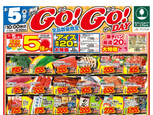 ＷＧＯＧＯdayのチラシ画像