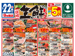 生鮮まつり&祝日特報のチラシ画像