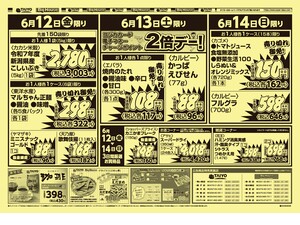 【１２店舗限定】号外チラシ6月12日～14日のチラシ画像