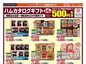 0704-0706 WEB GIFTのチラシ画像