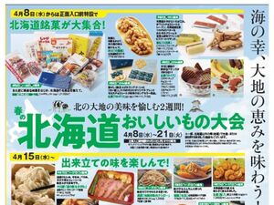 4月8日（水）～4月21日（火）宝塚阪急日々上質生活のチラシ画像