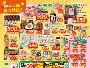 9月後半ぷらせれのチラシ画像