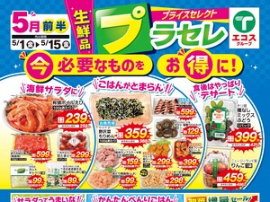マスダ TAIRAYA茎崎店のチラシ・特売情報・告知 | デリッシュチラシ