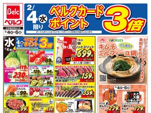 2/4号のチラシ画像