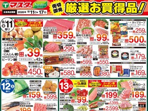 9/11号 厳選お買得品のチラシ画像