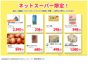 ネットスーパーだけの特別価格品!のチラシ画像