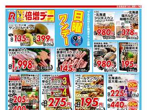 WEB限定!日曜ワンデー8/9号のチラシ画像