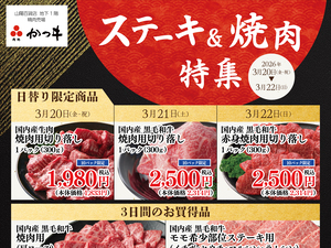 肉処かつヰ ステーキ&焼肉特集のチラシ画像