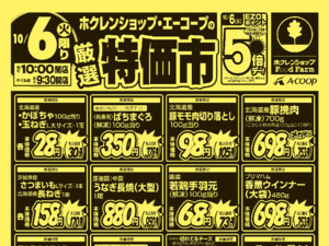 厳選特価市のチラシ画像
