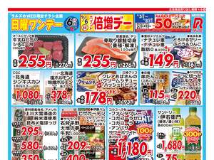 0906 Web日曜ワンデーのチラシ画像