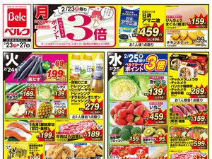 2/23号のチラシ画像