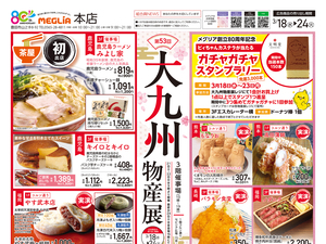 チラシのご案内のチラシ画像