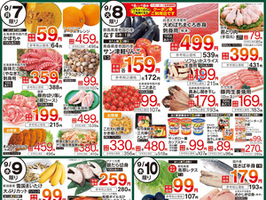 9/4号　厳選お買得品のチラシ画像