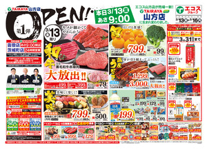  3月13日号山方店オープン1弾：表のチラシ画像