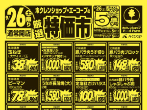 厳選特価市のチラシ画像