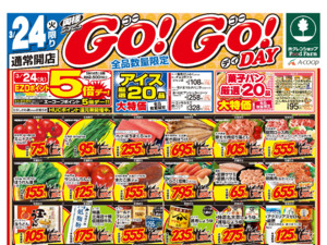 ＷＧＯＧＯdayのチラシ画像