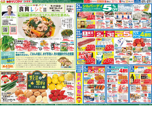 ２月２１日号のチラシ画像