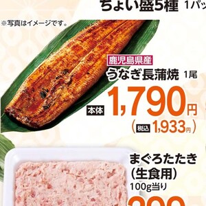 うなぎの蒲焼き