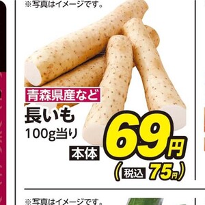 ごぼう