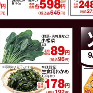 こまつ菜