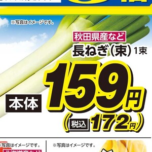 ながねぎ