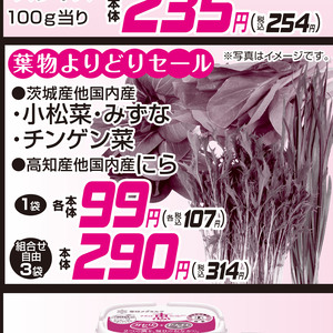 水菜