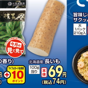 ながいも