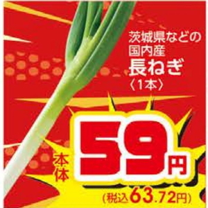 ながねぎ