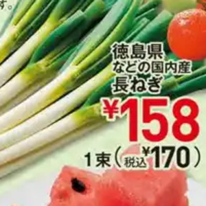 ながねぎ