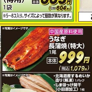 うなぎの蒲焼き