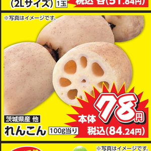 レンコン
