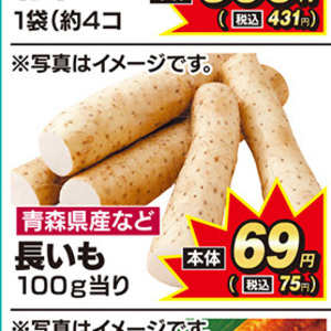 ながいも
