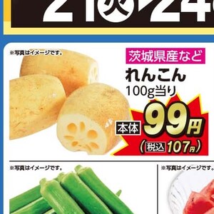 レンコン