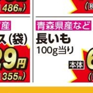 ながいも