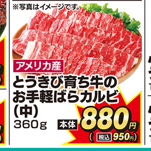 牛カルビ