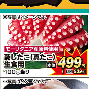 たこ（ボイル）