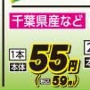 エリンギ