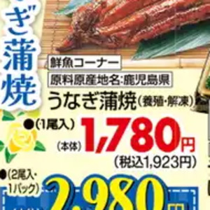 うなぎの蒲焼き