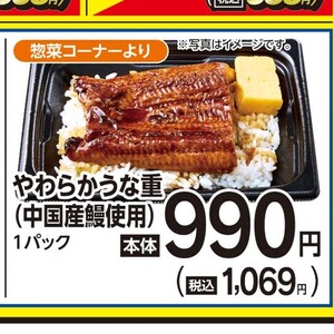 うなぎの蒲焼き