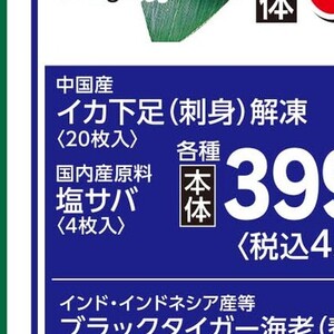 いか（刺身）