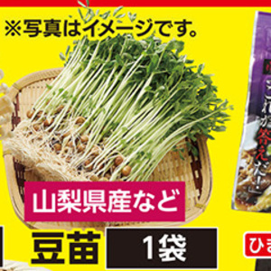 豆苗
