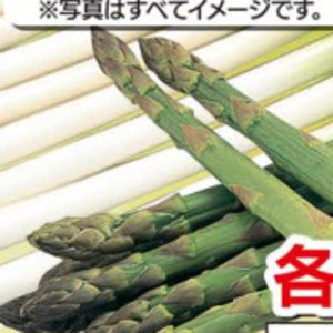 きゅうり