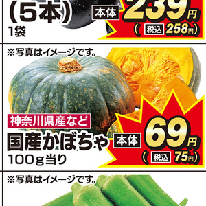 かぼちゃ