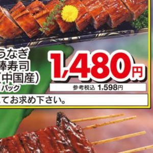 うなぎの蒲焼き