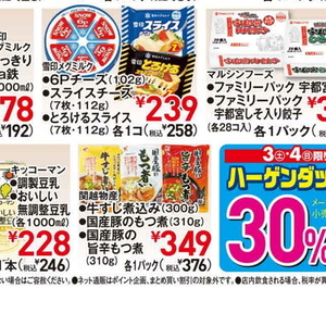 豚モツ