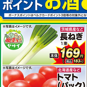 ながねぎ